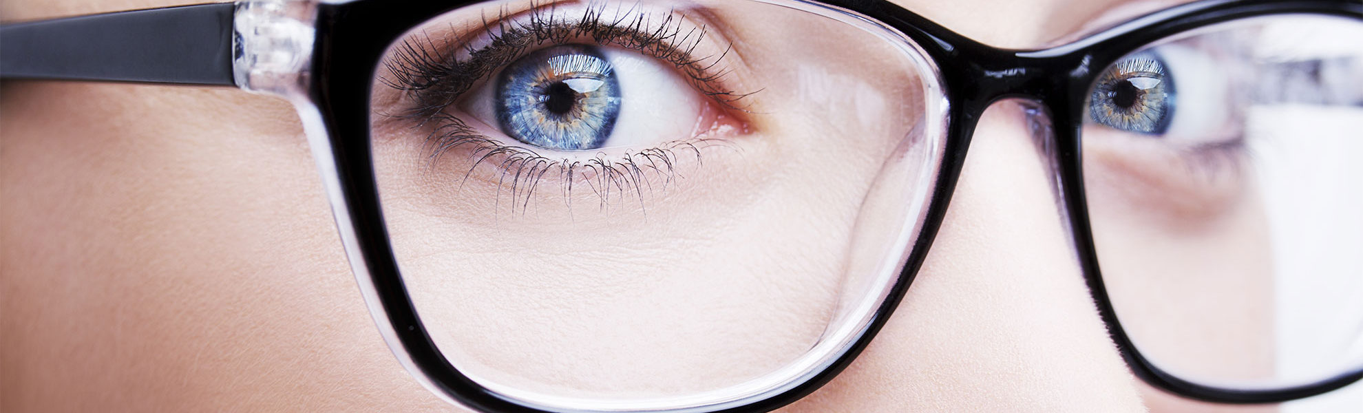 eye